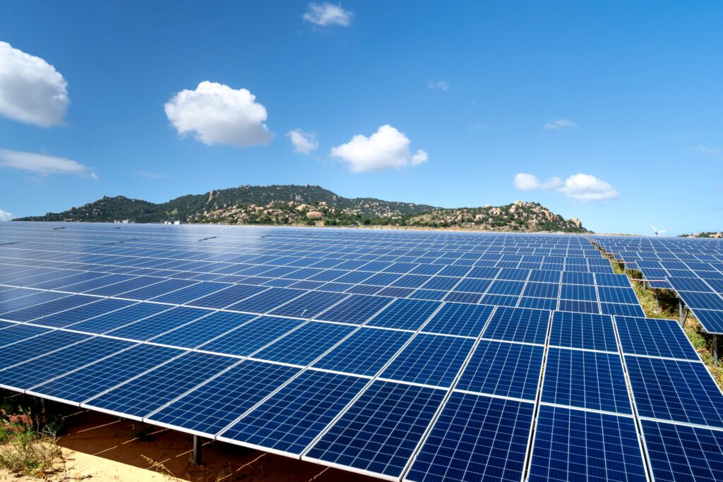 array-of-solar-panels-installed-on-ground